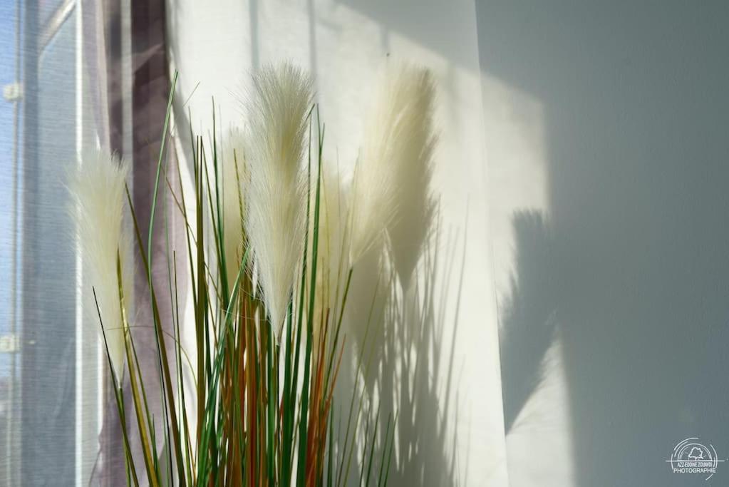 Suite Le Cocoon & Spa By Nancyintimelounge Eksteriør bilde